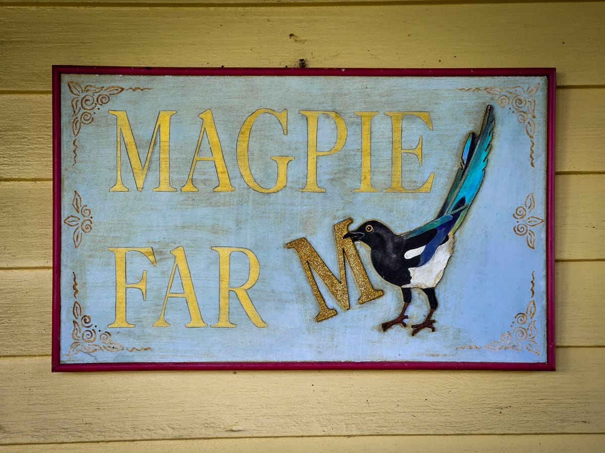 Finding Home at Magpie Farm